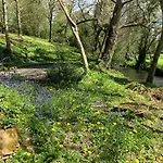 Le Moulin De La Castellerie 3*