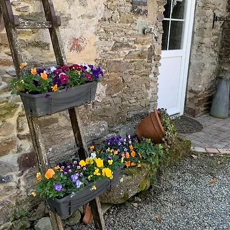 Le Moulin De La Castellerie Couette-café