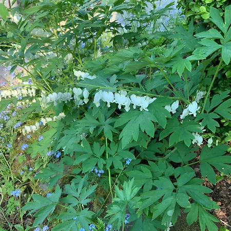 Bed and Breakfast Le Moulin De La Castellerie