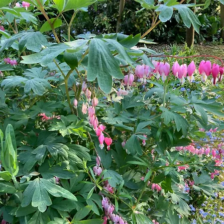 Le Moulin De La Castellerie Bed and Breakfast 3*