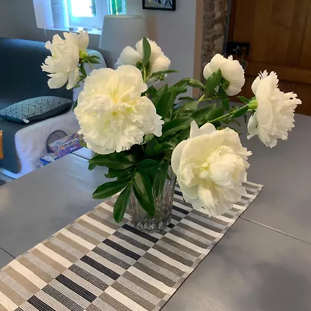 Bed and Breakfast Le Moulin De La Castellerie