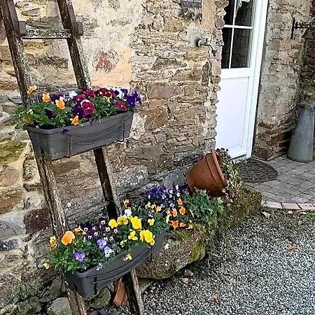 B&B Le Moulin De La Castellerie