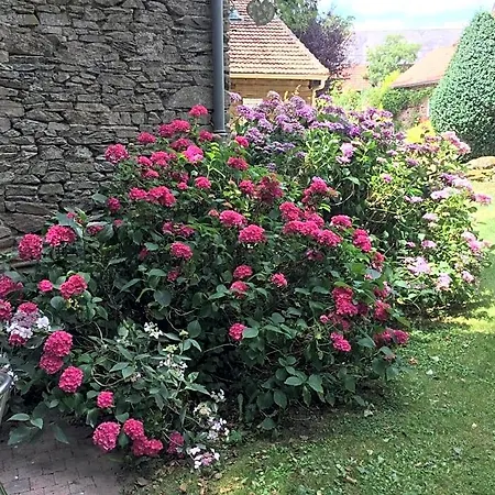 Le Moulin De La Castellerie B&B