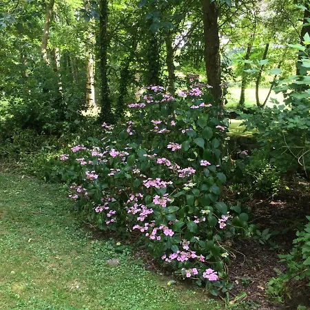 Bed and Breakfast Le Moulin De La Castellerie Moon-sur-Elle