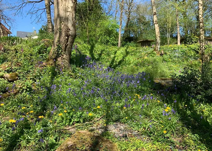 Le Moulin De La Castellerie 3* Moon-sur-Elle