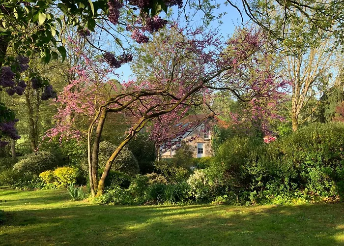 Le Moulin De La Castellerie Bed & Breakfast