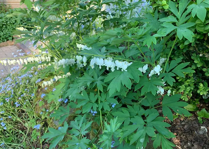 Bed & Breakfast Le Moulin De La Castellerie