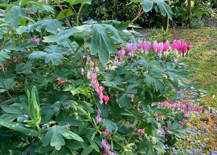 Le Moulin De La Castellerie Bed & Breakfast 3*