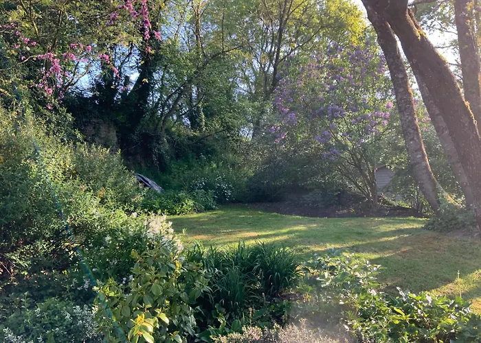 Le Moulin De La Castellerie Bed & Breakfast Moon-sur-Elle