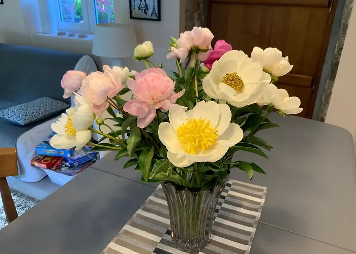 Le Moulin De La Castellerie