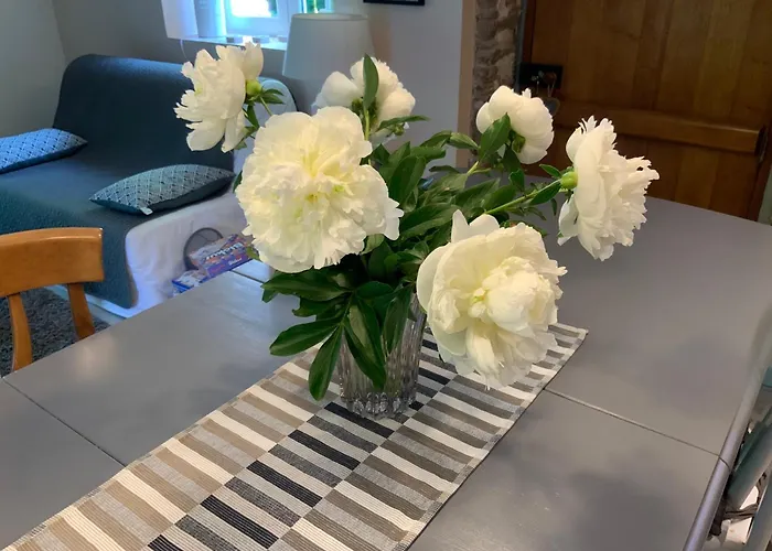 Bed & Breakfast Le Moulin De La Castellerie