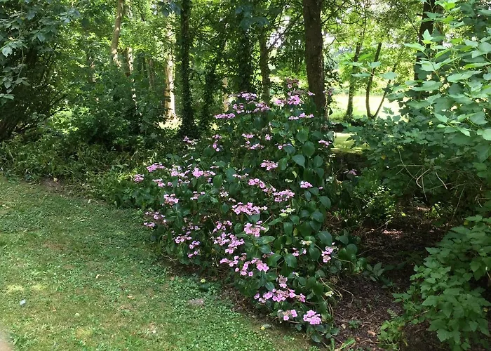 Bed & Breakfast Le Moulin De La Castellerie Moon-sur-Elle